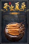 冬虫夏草