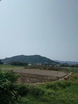 田埂背景图