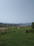 农村风景图