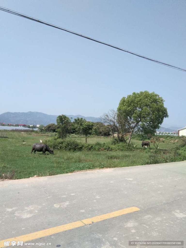 路边田园风景图