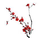 梅花素材