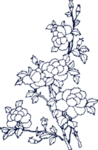 牡丹花青花