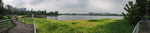 湿地公园