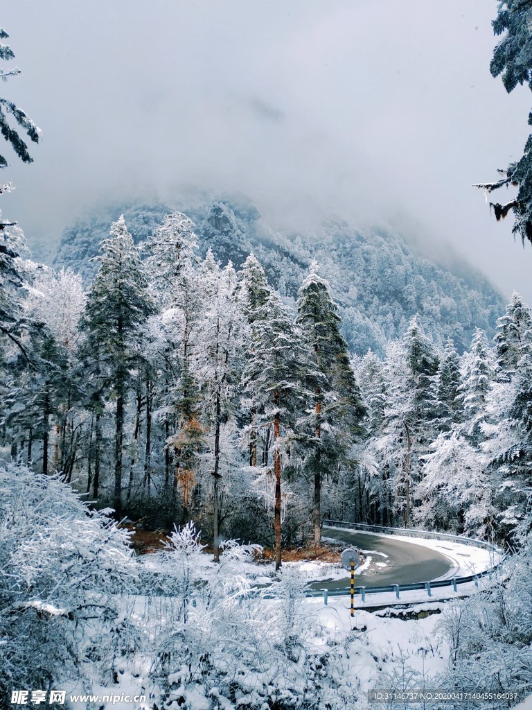 海螺沟 雪景