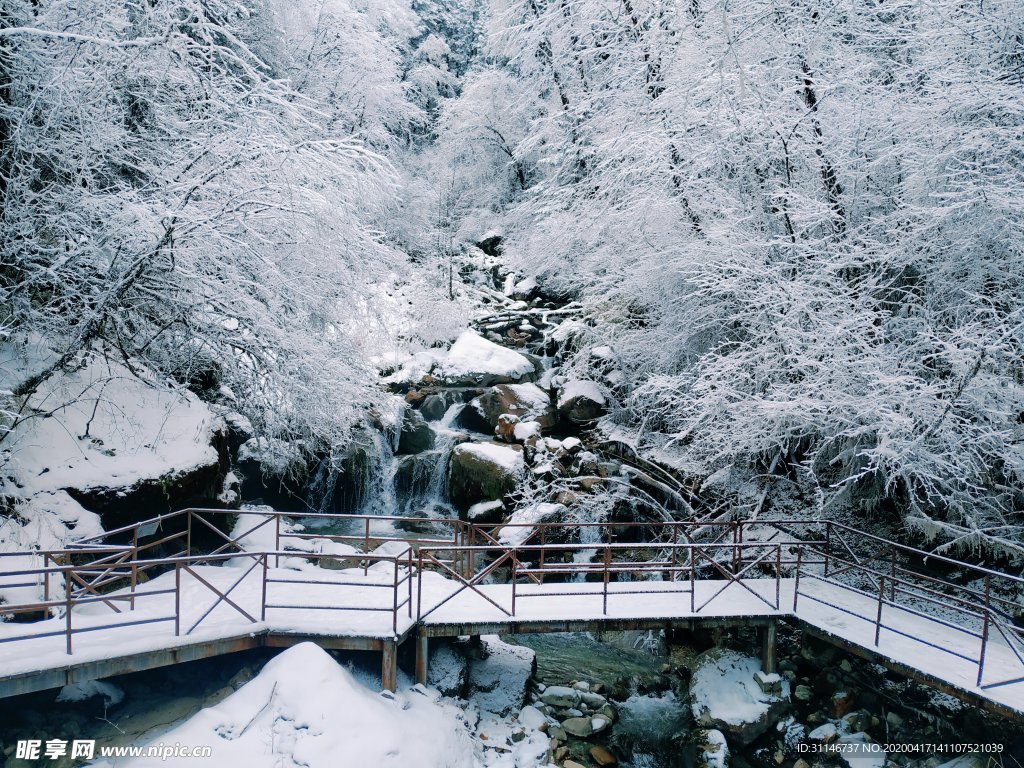 海螺沟 雪景