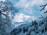 海螺沟 雪景