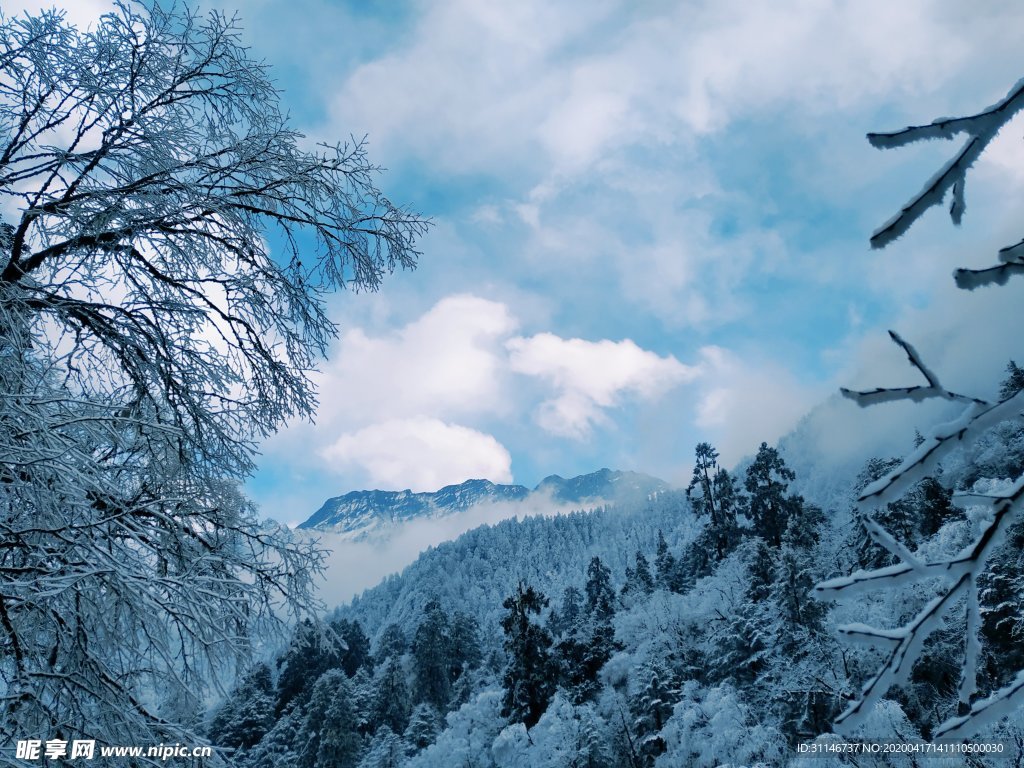 海螺沟 雪景