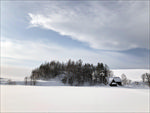 日本美瑛 雪景