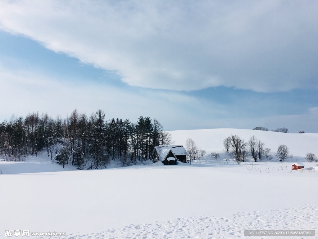 日本美瑛 雪景