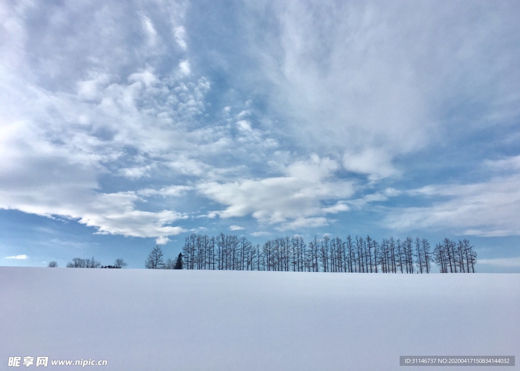 日本美瑛 雪景