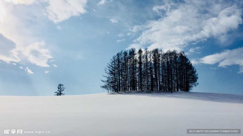 日本美瑛 雪景