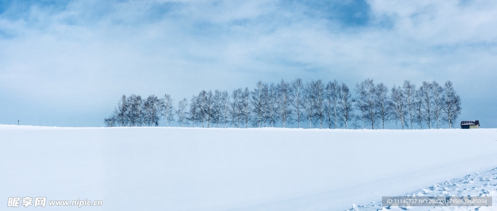 日本美瑛 雪景