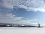 日本美瑛 雪景