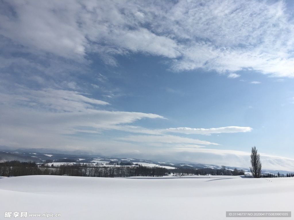 日本美瑛 雪景