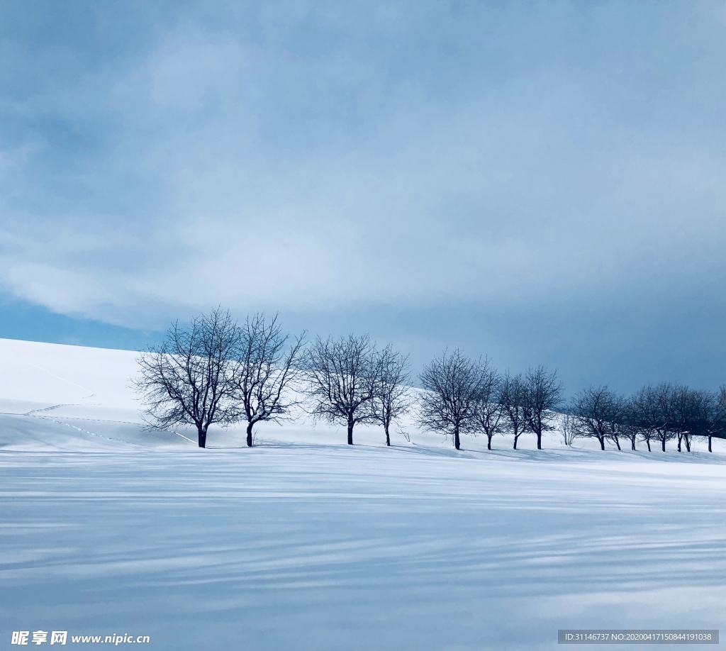 日本美瑛 雪景