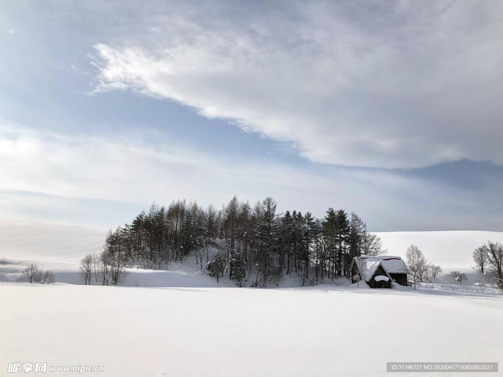 日本美瑛 雪景