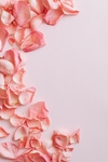 粉色花瓣