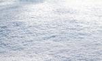 白色的雪地