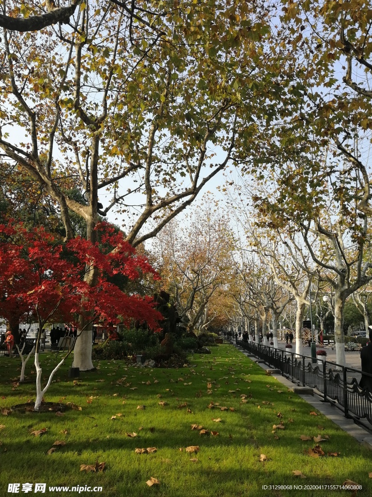 西湖风景