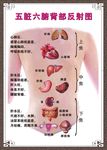 穴位与保健