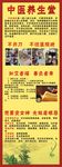 中医养生文化