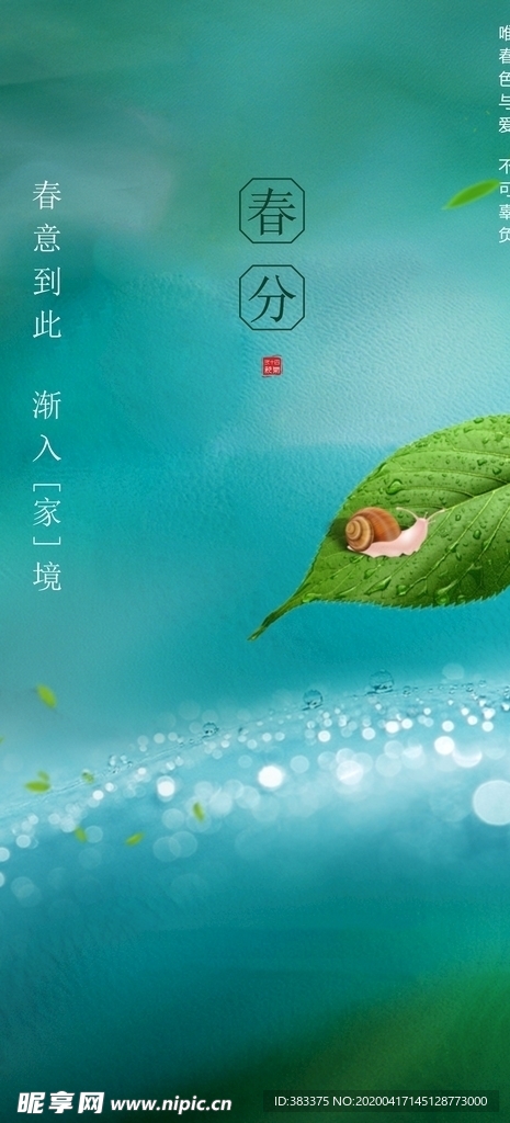 春意  春分  绿叶  风景