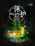 保护野生动物