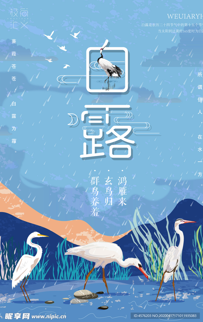 白露海报