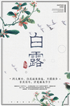 白露海报