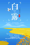 白露海报