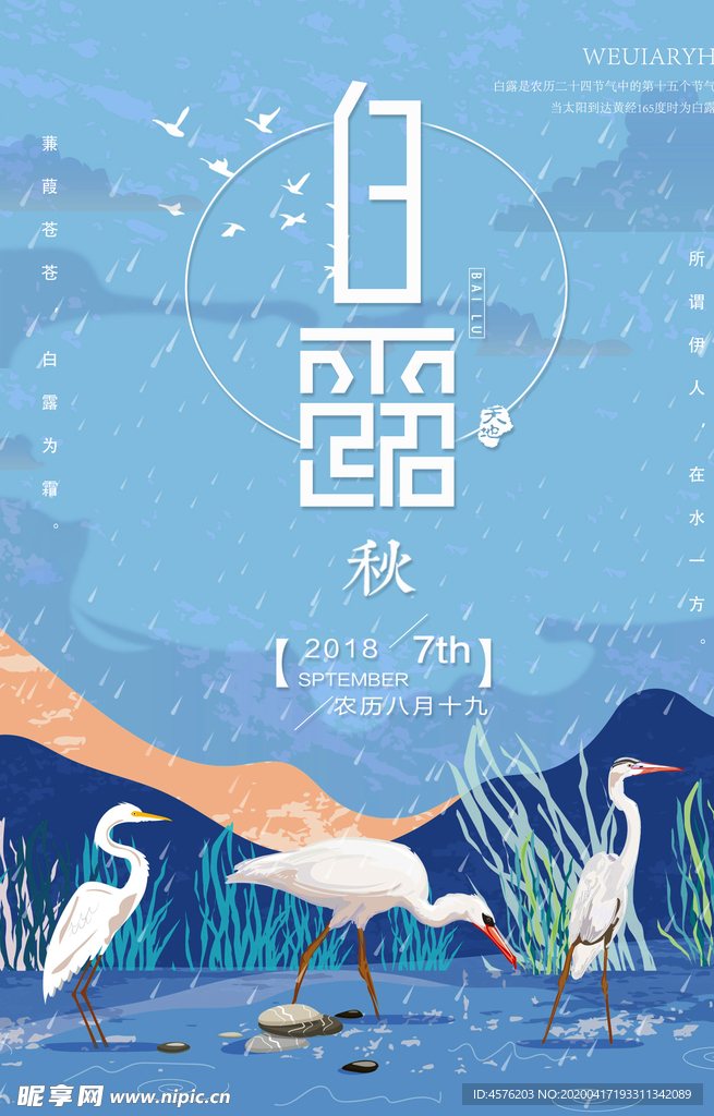 白露海报