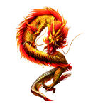 金龙