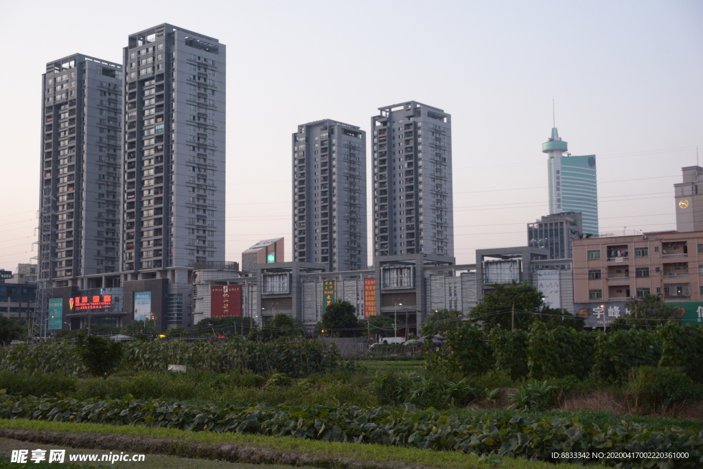 城市