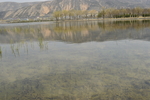 人工湖风景