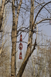 小马灯