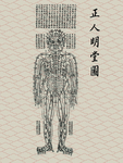中医--正人明堂图