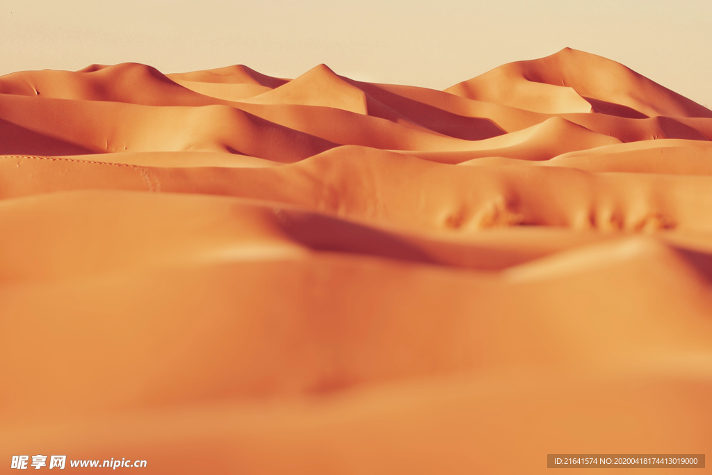 美丽的沙漠景观摄影