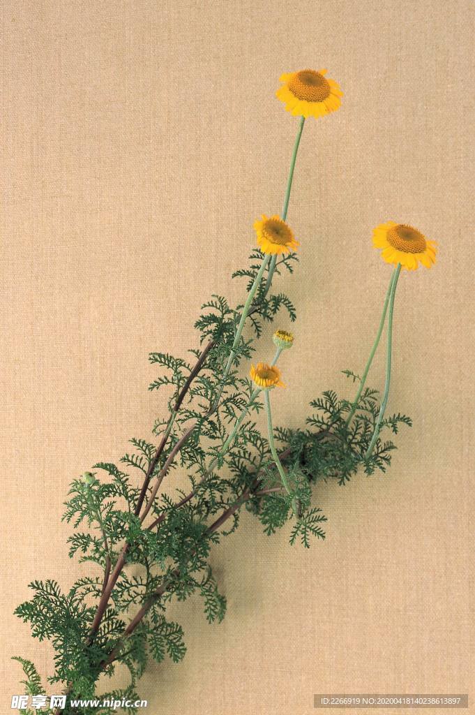 花