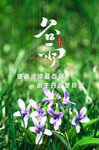 谷雨