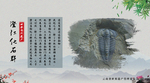 澄江化石群