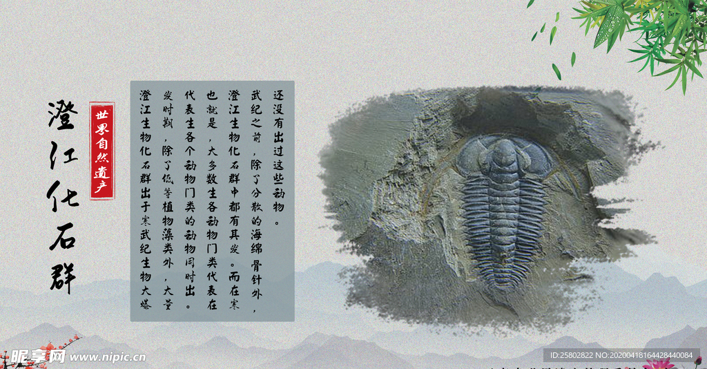 澄江化石群