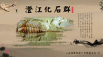 澄江化石群