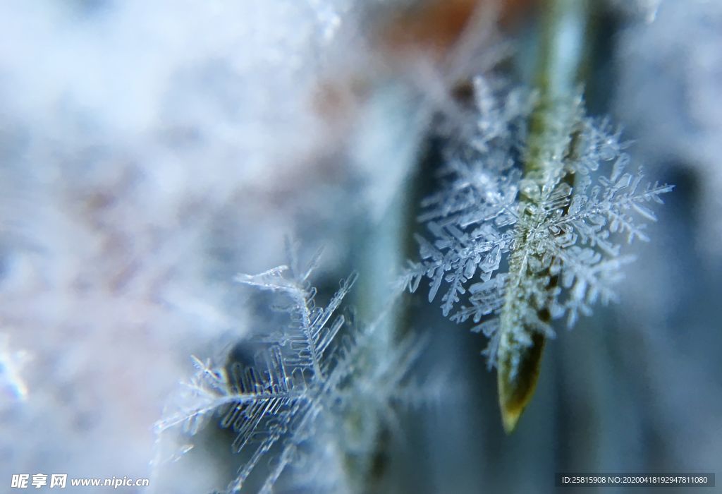 雪花冰花冰霜窗花图片