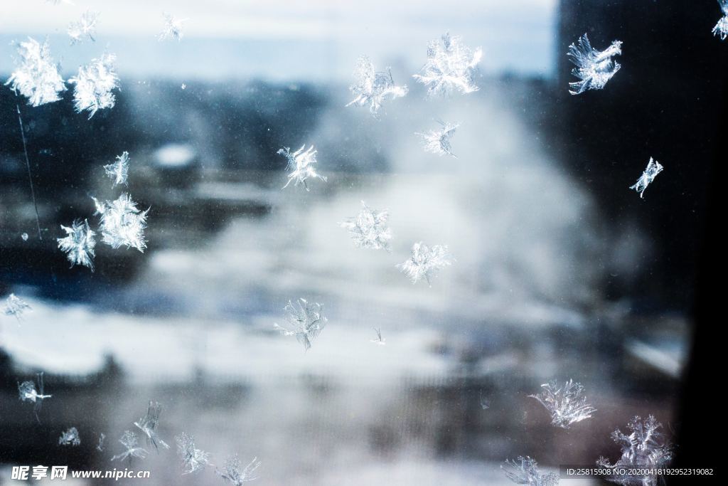 雪花冰花冰霜窗花图片