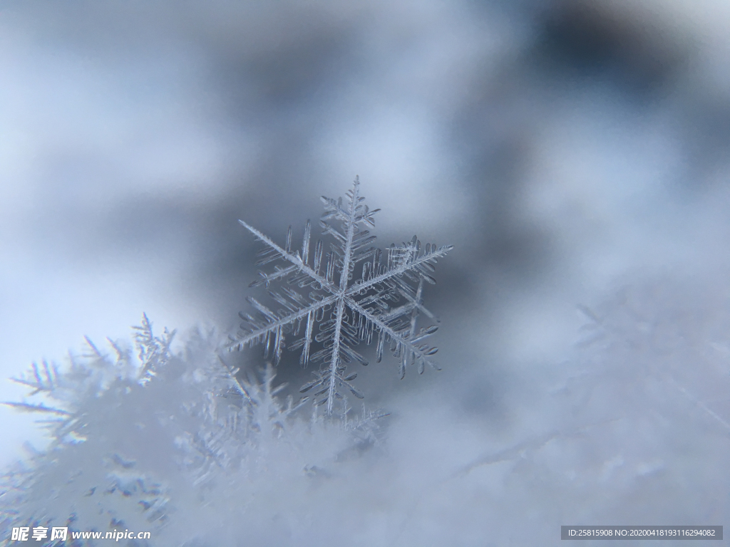 雪花冰花冰霜窗花图片