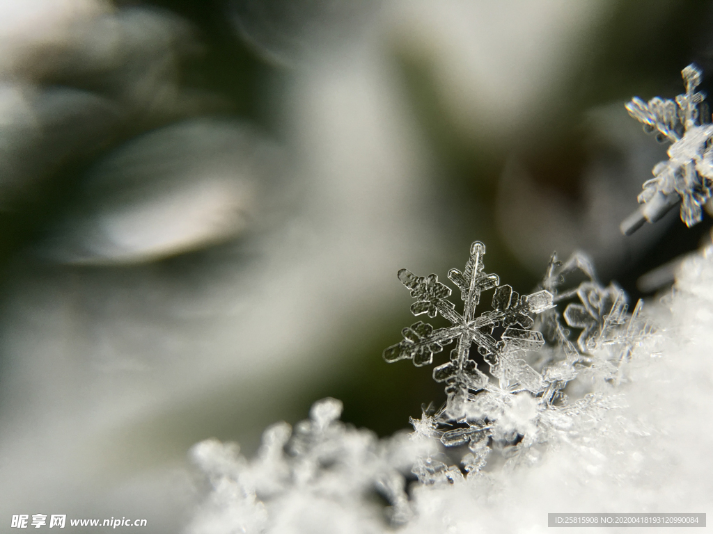 雪花冰花冰霜窗花图片