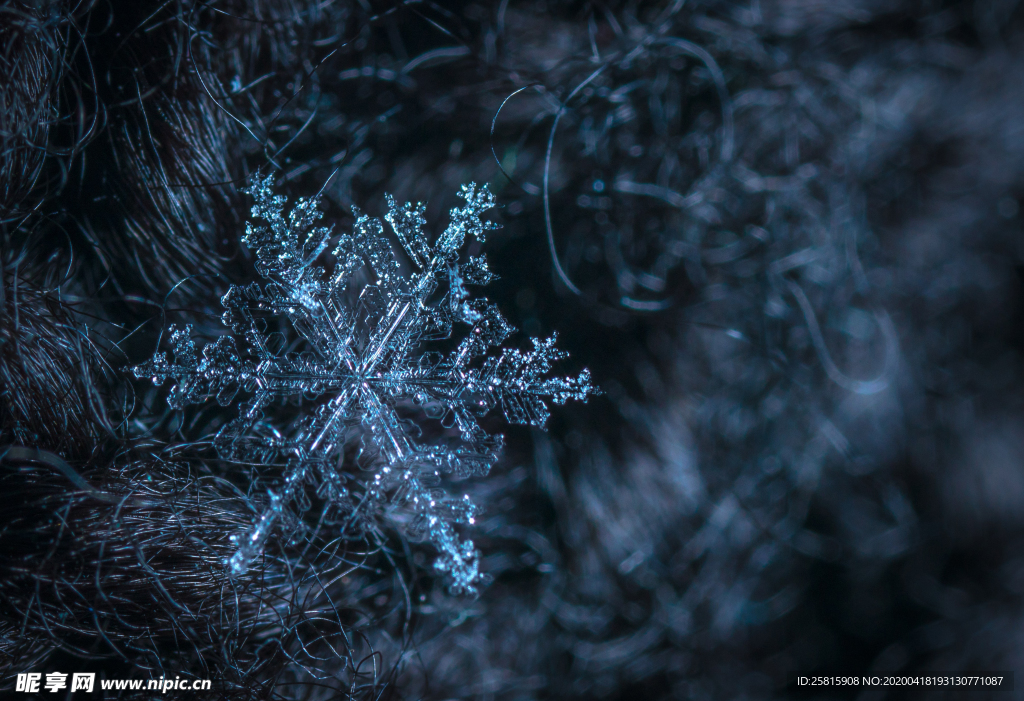 雪花冰花冰霜窗花图片