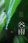 谷雨