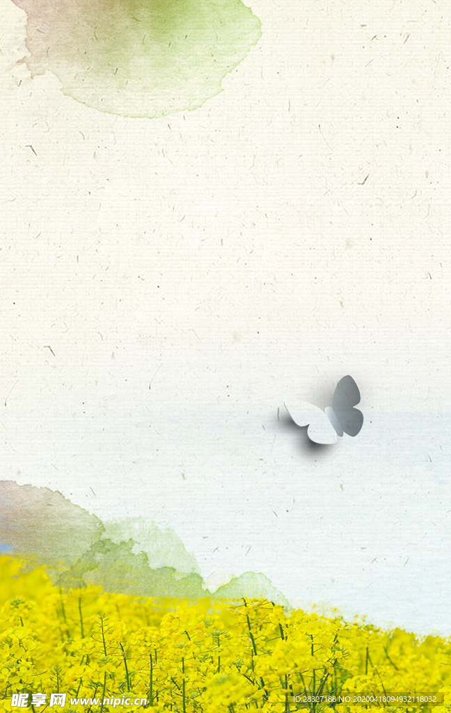 油菜花