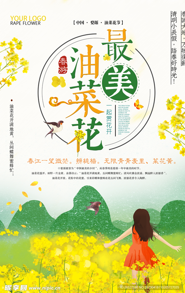 油菜花
